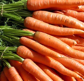 Морковная диета фото